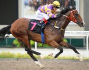 New Rose Wood<br>Photo by Singapore Turf Club